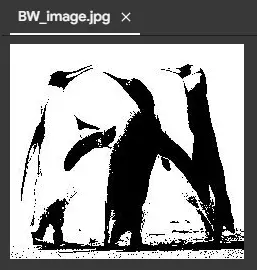 black and white image in python