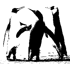 black and white image through python