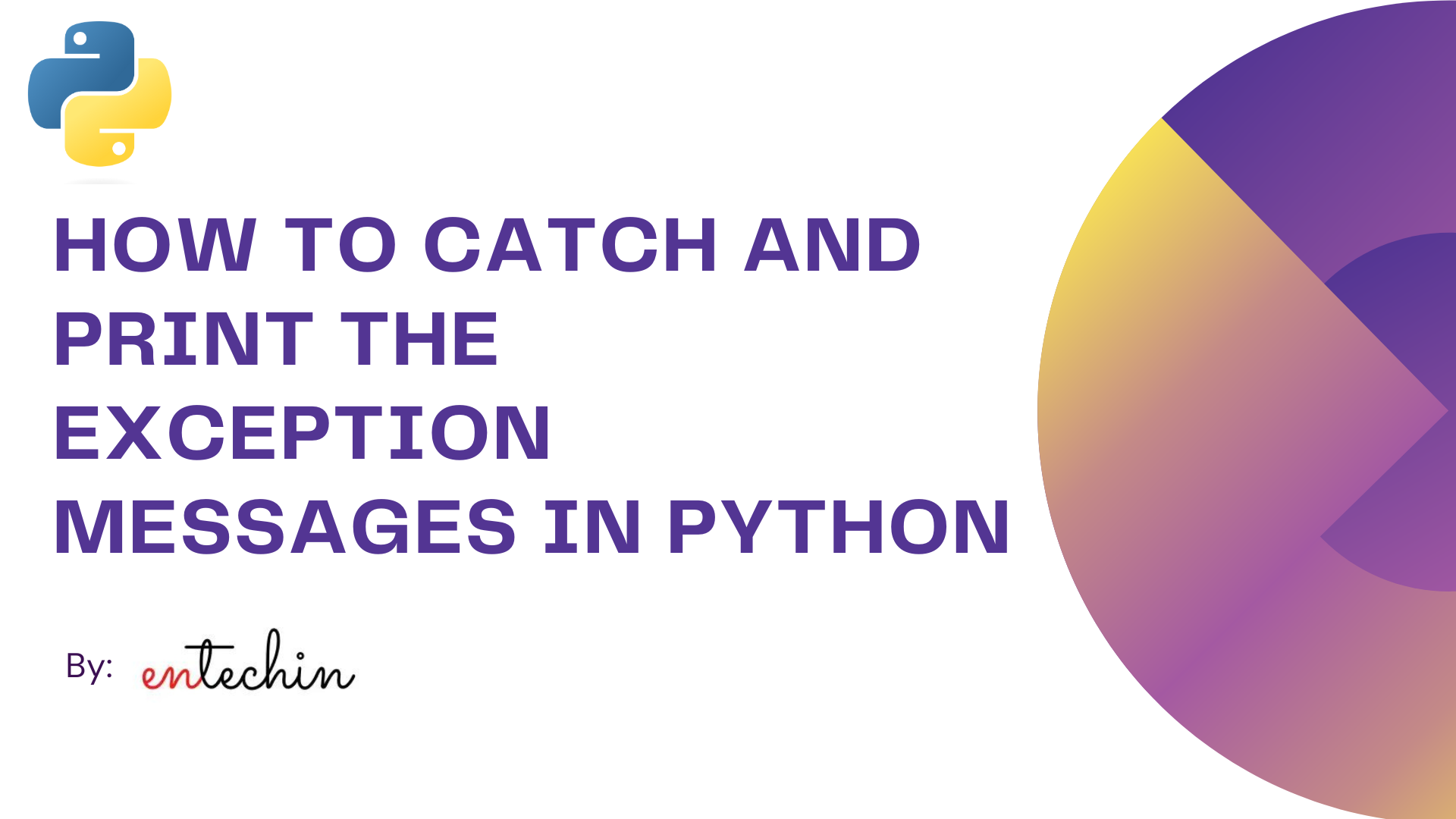 How to catch and print the exception messages in Python